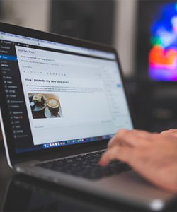 Schreiben-Sie-für-Johannes-Ponader-wordpress